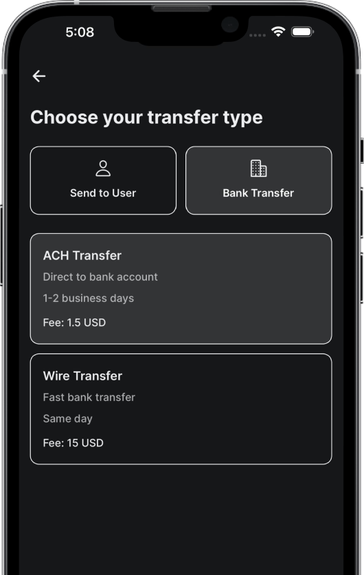 Send Money in Seconds app image